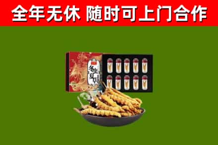 昌吉回收冬虫夏草价格